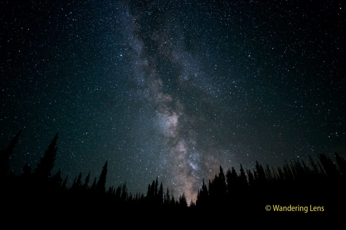 Milky Way over the forest