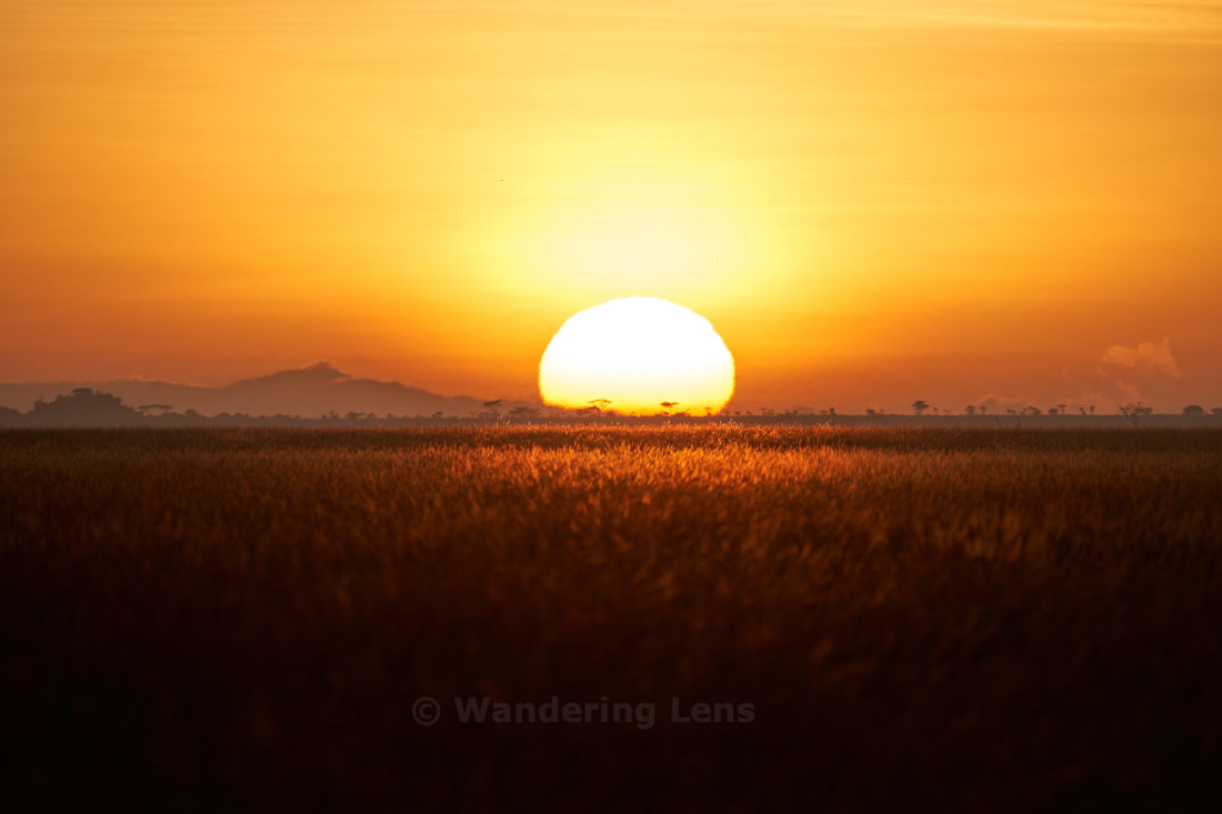 Sunrise over the Serengeti, the endless plain